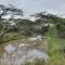 Kitengela Getaway - Nairobi