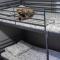 2br-7 Guests-Free Parking-Pool-AirCon