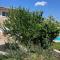 House Furlani