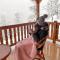 Zlatar Resort & SPA - Nova Varoš