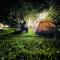 Escape to Nature at Mango Trails by Green Getaways - Talai