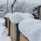 Guest House Azalea - Кутаиси