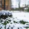 Elgin Self Catering Holiday Cottage