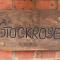 Stockrose
