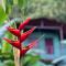 Río Verde Ecolodge - Puerto Jiménez