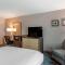 Comfort Inn & Suites East Ellijay