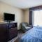 Comfort Inn Lees Summit - Hwy 50 & Hwy 291