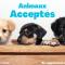 Appartement 2 Chambres - Vue Mer - Parking Privé - Animaux Admis - FR-1-323-334 - 圣让-德蒙