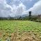Green Lava Mountain View Cabin Bedugul by IHM
