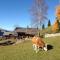 Chalet "Datscha" freistehend - Lenk im Simmental