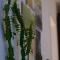 Artful 3 Bedroom Apt in City Center 5 min by foot to ESC & Art Basel - Basel