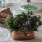 Country House Erba Regina