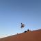 Star line for Desert camping and activities - Badīyah