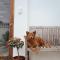 148 Guesthouse and Resort