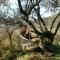 Nature's Rustico - Quiet Location - Picturesque - Baiardo