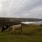 Foto: Burren Castle Hotel Lisdoonvarna 78/142