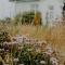 West Cottage by Bloom Stays - Dungeness