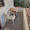 Apartments Vlado