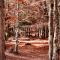 Valbona Resort & Spa - 瓦勒博内