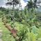 Papahan Bali