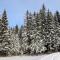 Chalet Klippitzrose by Interhome - Klippitztorl