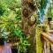 Jungle Spirit Treehouse - Cahuita