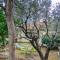 Apartment Ma Ben fa suda by Interhome - 法扬斯