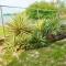 SeaBreeze Sea View Studio with Balcony & Pool, 2nd Floor - 伯利兹城