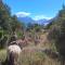 Estancia los Helechos