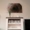 Ostsee - Appartement Nr 70 "Beachklause" im Strand Resort