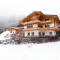 Alpensteinbock Saalbach L