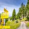 Alpensteinbock Saalbach L