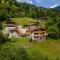 Alpensteinbock Saalbach