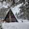 Stylish Scandi-Cabin Near Pikes Peak & Trails - وودلاند بارك