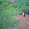 StayApart - Deccan Trails Vikarabad