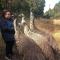 Fauna Australia Wildlife Experience