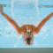 Solbadhotel Sigriswil