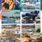 Walvis Bay Wind Beggars