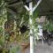 House in Wiselka near Baltic Sea Beach