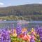 Drei Tannen - Wohnung 04 - Apartmenthaus, Titisee, nahe Badeparadies
