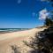 Strandhafer