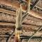 Wild Wadi Wilpattu - Villas with private Plunge Pools