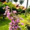 Cocolagoon eco Resort Nilaveli