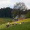 Drei Tannen - Wohnung 06 - Apartmenthaus, Titisee, nahe Badeparadies