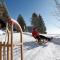 Drei Tannen - Wohnung 09 - Apartmenthaus, Titisee, Feldberg