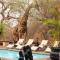 African Rock Lodge