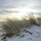 Meehrblick App 215 - Zingst