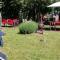 Haus Blick am Edersee 13 p