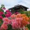 A & L Resort - Sea & Mountain View - Looc