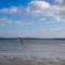 Trehus